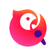 暴躁少女CSGO视频播放APP应用