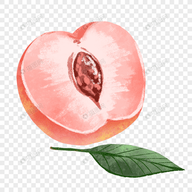 桃花视频APP应用